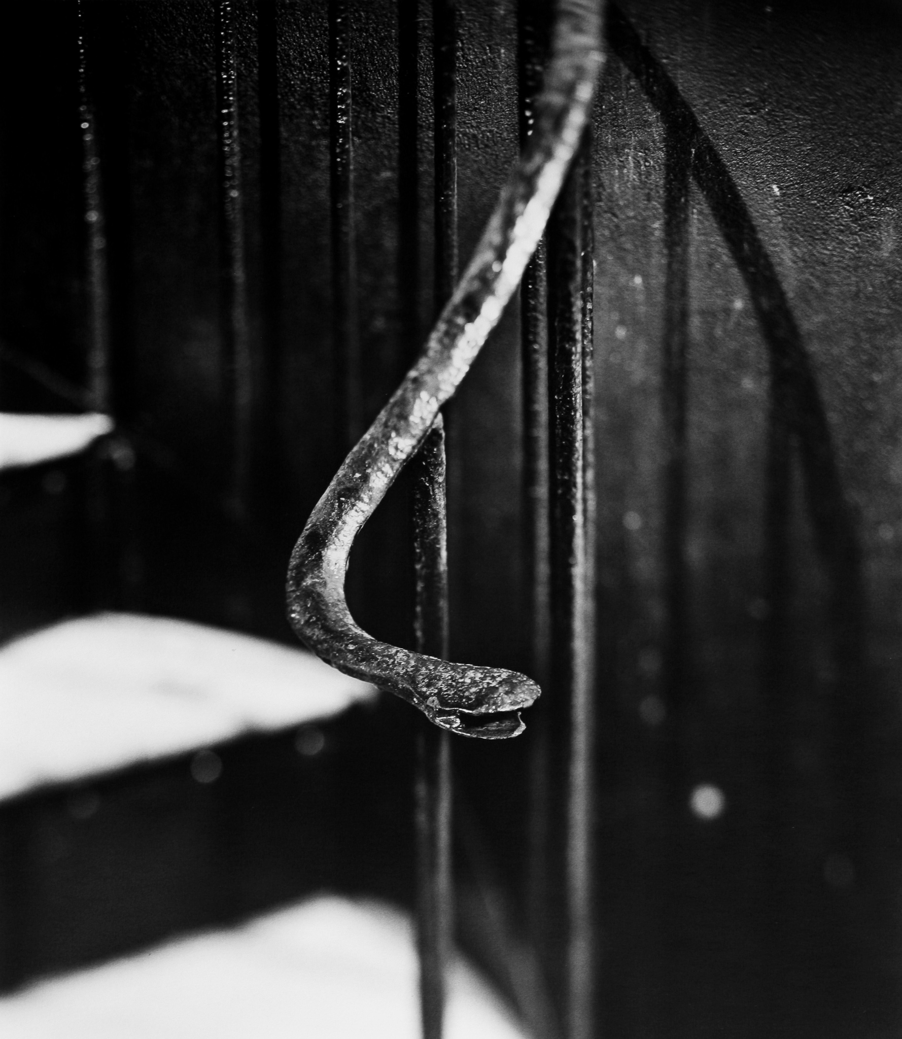 Snake Hand Prison Rail, Hanoi